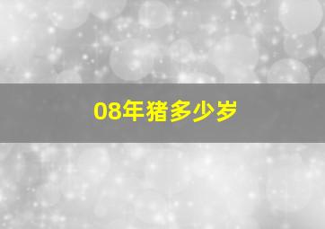 08年猪多少岁