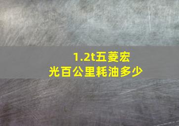 1.2t五菱宏光百公里耗油多少