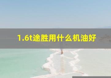 1.6t途胜用什么机油好