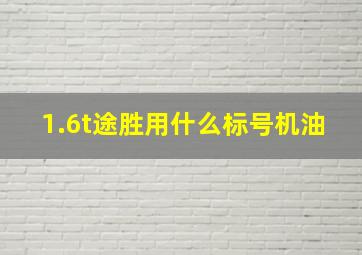 1.6t途胜用什么标号机油