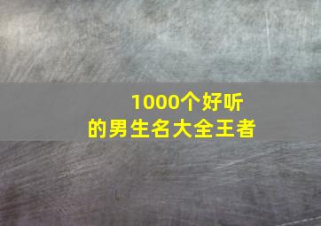 1000个好听的男生名大全王者