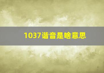 1037谐音是啥意思