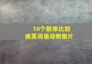 10个肢体比划搞笑词语动物图片