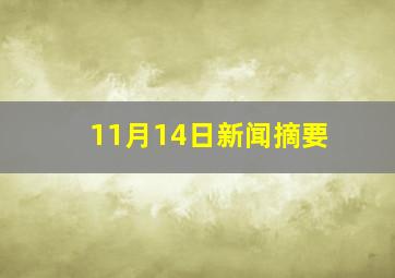 11月14日新闻摘要