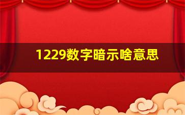 1229数字暗示啥意思