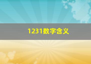 1231数字含义