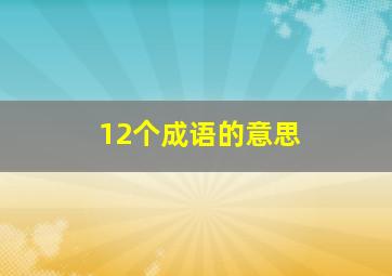 12个成语的意思