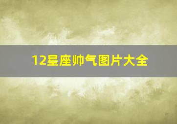 12星座帅气图片大全