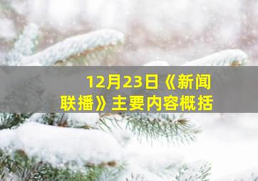 12月23日《新闻联播》主要内容概括