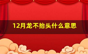 12月龙不抬头什么意思