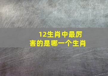 12生肖中最厉害的是哪一个生肖