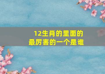 12生肖的里面的最厉害的一个是谁