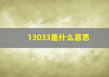 13033是什么意思