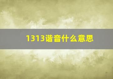 1313谐音什么意思