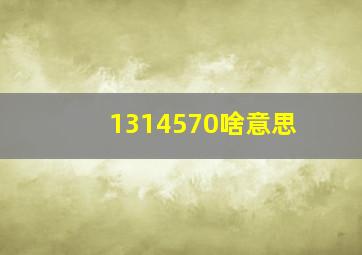 1314570啥意思