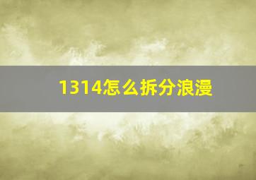 1314怎么拆分浪漫