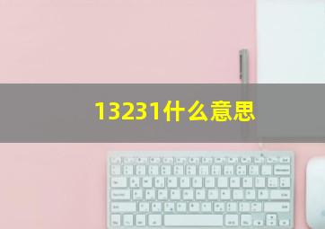 13231什么意思