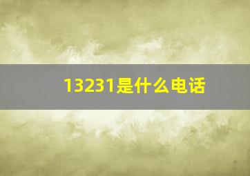 13231是什么电话