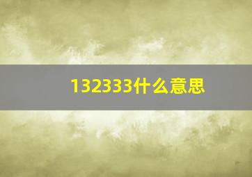 132333什么意思