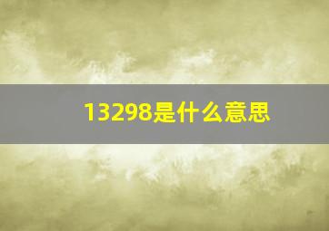 13298是什么意思