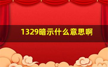 1329暗示什么意思啊