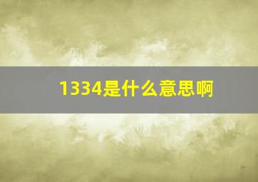 1334是什么意思啊