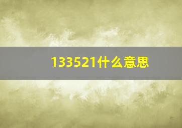 133521什么意思