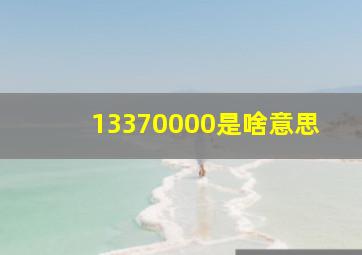 13370000是啥意思