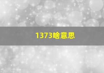 1373啥意思