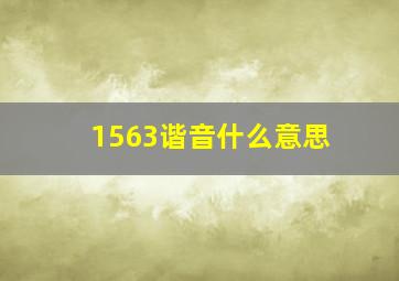 1563谐音什么意思