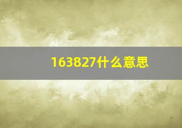 163827什么意思