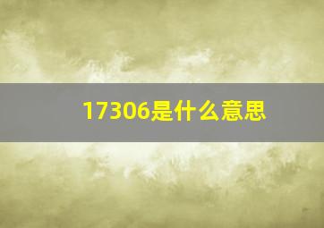 17306是什么意思