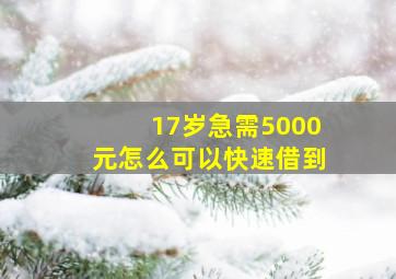 17岁急需5000元怎么可以快速借到