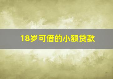 18岁可借的小额贷款