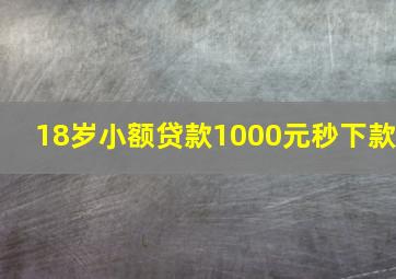 18岁小额贷款1000元秒下款