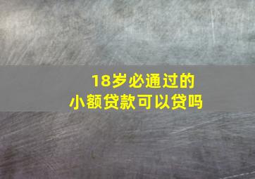 18岁必通过的小额贷款可以贷吗