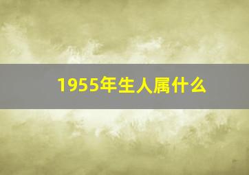 1955年生人属什么