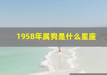 1958年属狗是什么星座