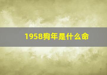 1958狗年是什么命