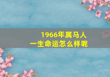 1966年属马人一生命运怎么样呢