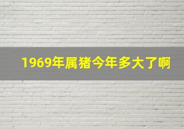 1969年属猪今年多大了啊