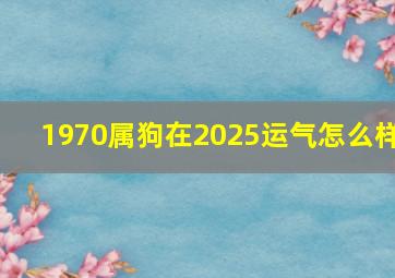 1970属狗在2025运气怎么样