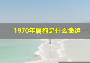 1970年属狗是什么命运