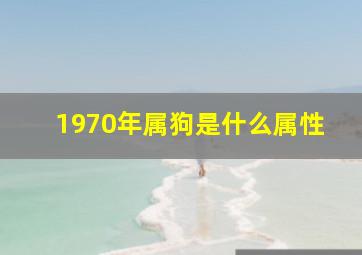 1970年属狗是什么属性