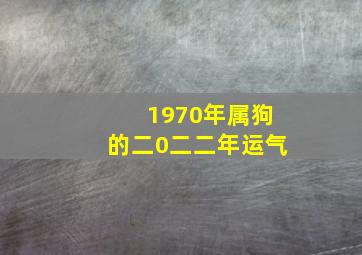 1970年属狗的二0二二年运气