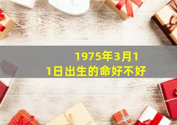 1975年3月11日出生的命好不好