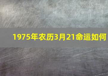 1975年农历3月21命运如何