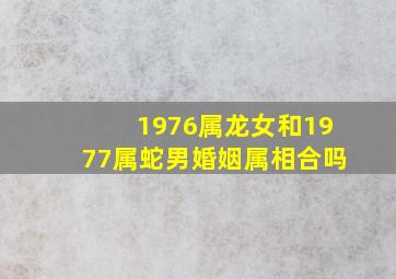 1976属龙女和1977属蛇男婚姻属相合吗