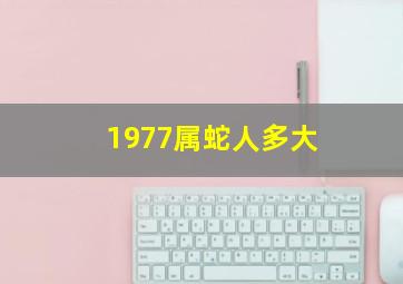 1977属蛇人多大