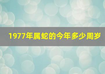 1977年属蛇的今年多少周岁